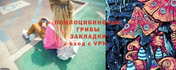 2c-b Вяземский